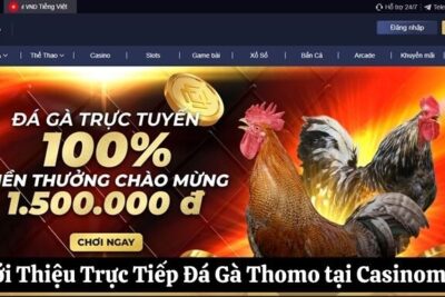 Trực Tiếp Đá Gà Thomo Casinomcw: Cuộc Chiến Giải Trí Đầy Hấp Dẫn