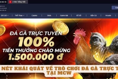 Trải Nghiệm Cá Cược Đá Gà Trực Tiếp Tại Mcw