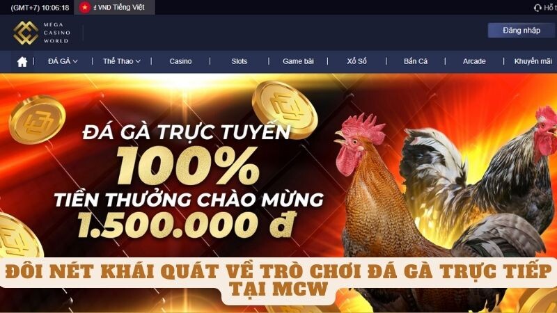 Đôi nét khái quát về trò chơi đá gà trực tiếp tại mcw